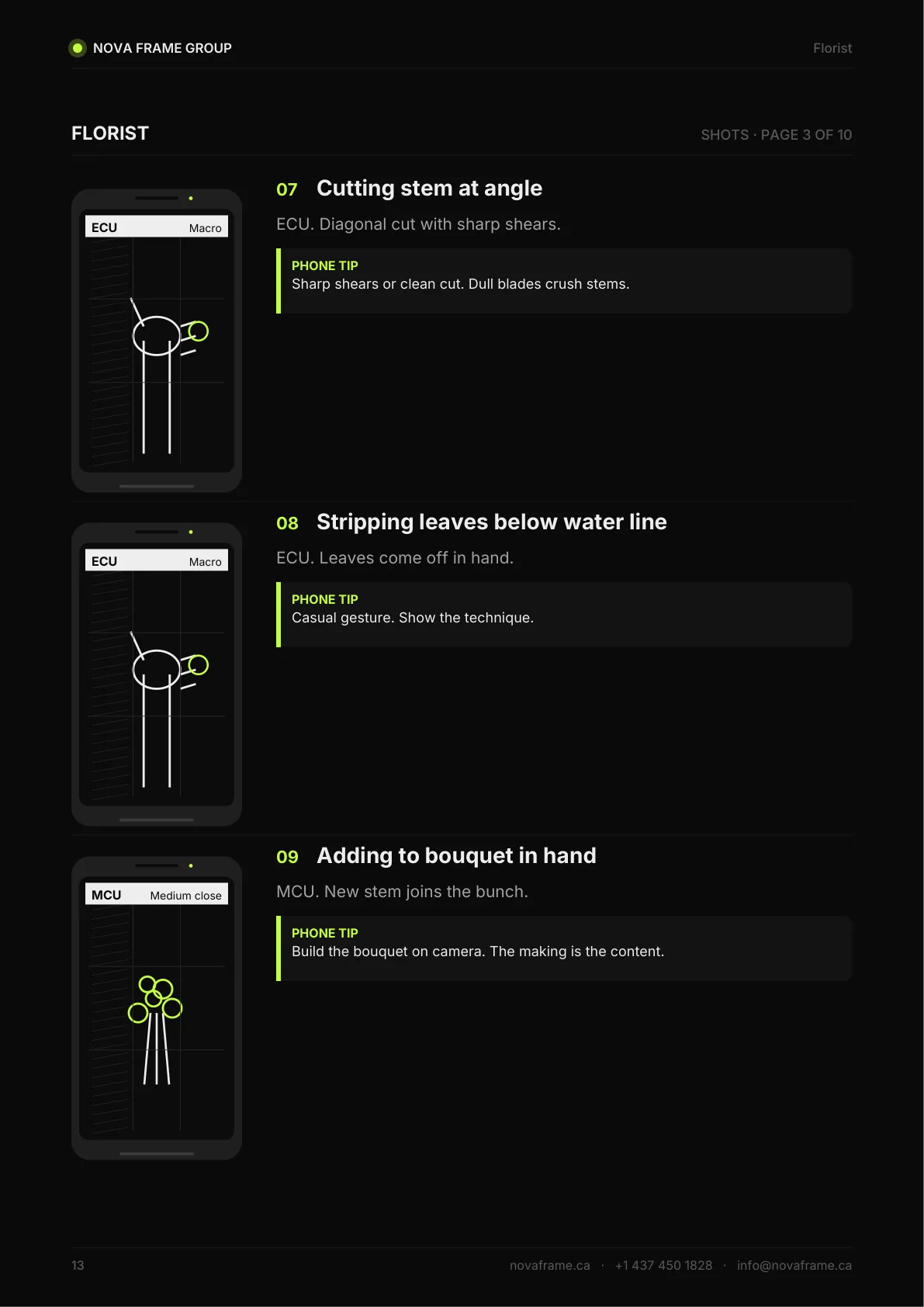 Florist guide — page 13 of 21